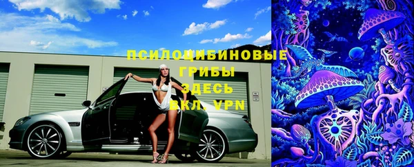 прущая мука Абаза