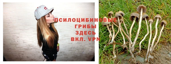 твердый Абдулино