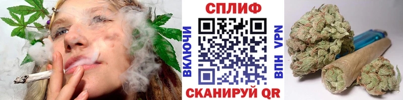 Каннабис MAZAR  Котельнич 